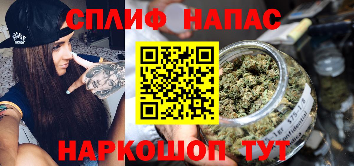 Канабис планчик Краснознаменск